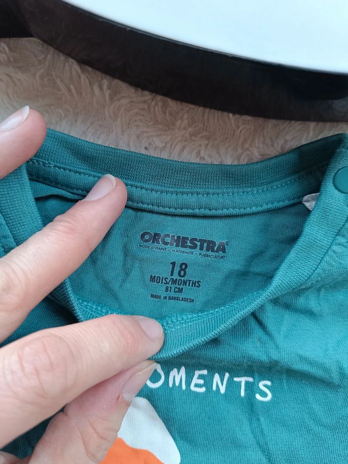Tee shirt chemise manches longues Garçon 18 mois Ours montagne happy moments Travel world 100% coton - photo numéro 6