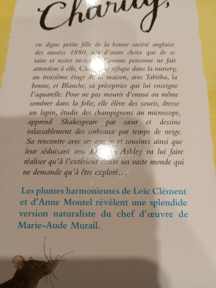 Bd miss charity - photo numéro 4