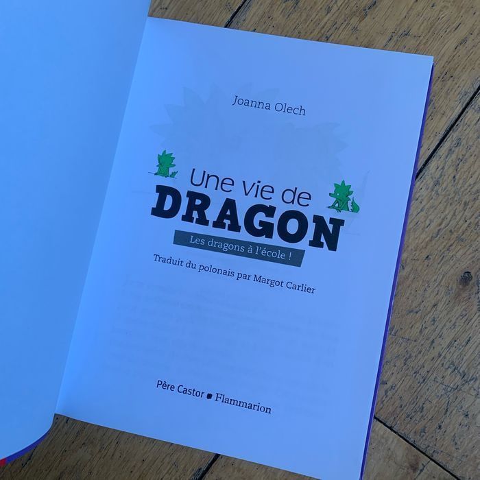 Livre une vie de dragon  Les dragons à l’école - photo numéro 4