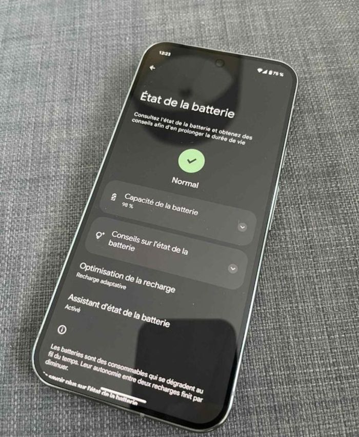 Google-Pixel 9 Pro XL - photo numéro 3