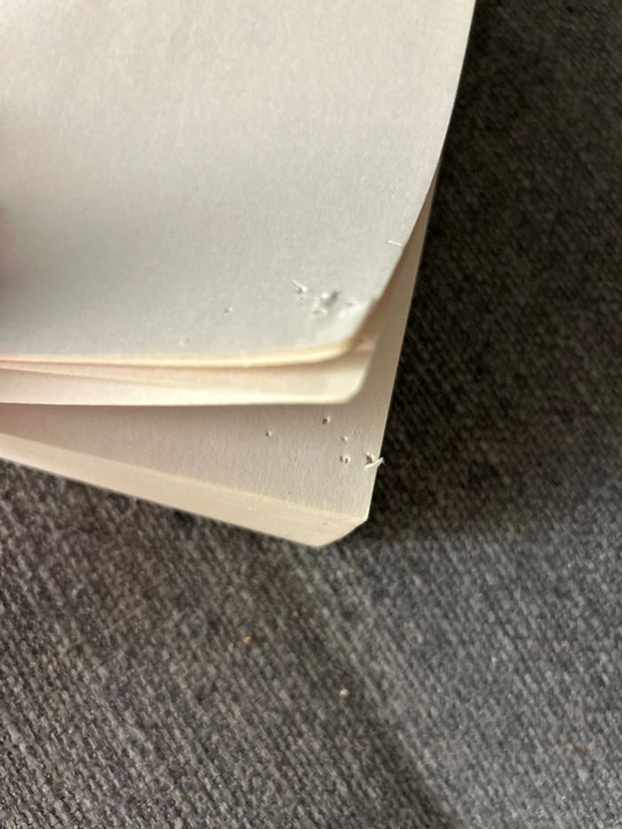 Sex not love - photo numéro 4