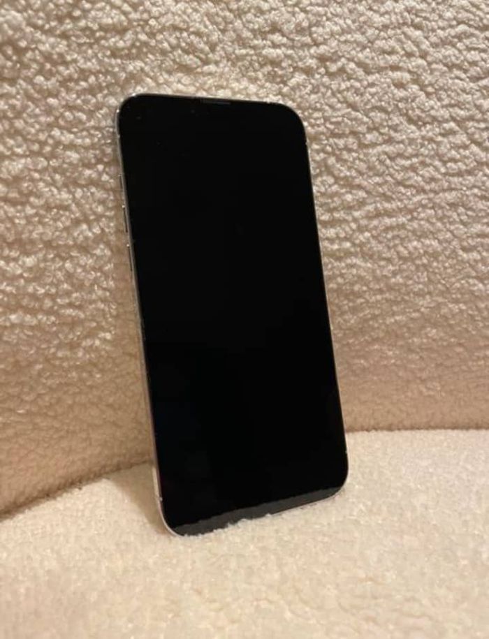Iphone 13 pro max - photo numéro 3