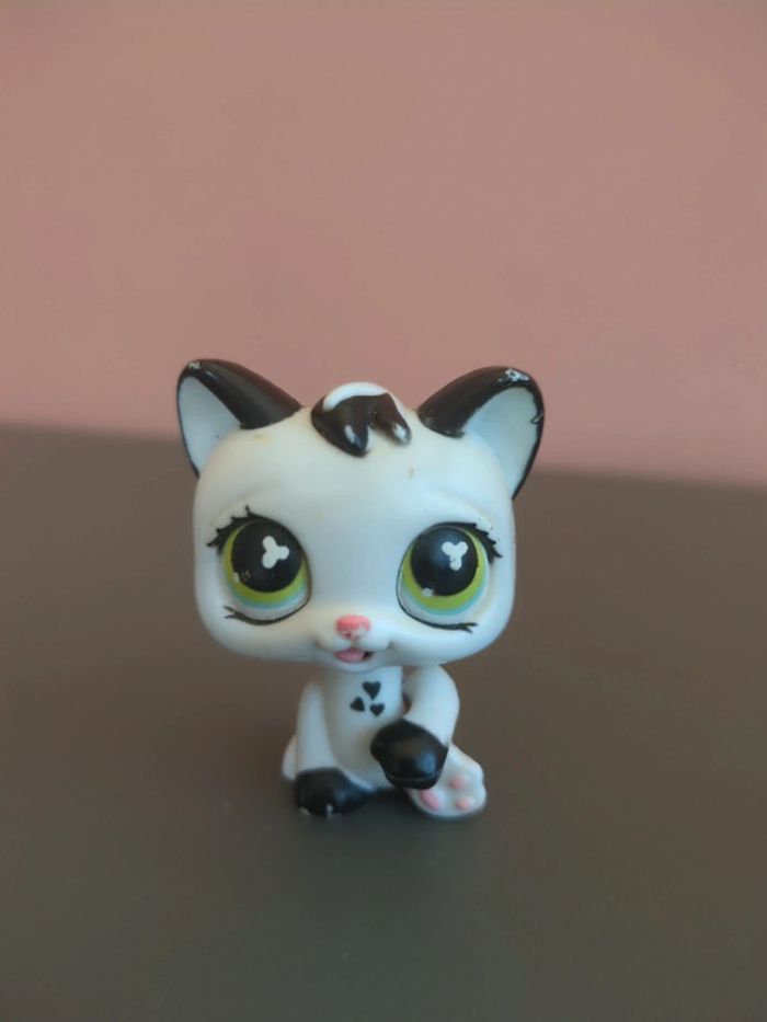littlest petshop chat