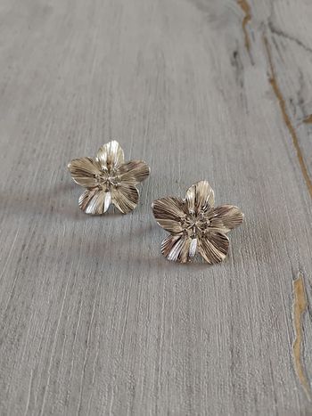 Boucles d'oreilles neuves