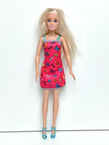 Poupée mattel Barbie Chic robe papillon fushia 
Poupée et ensemble compris 