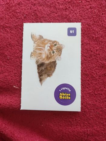 Autocollant nos amies les bêtes