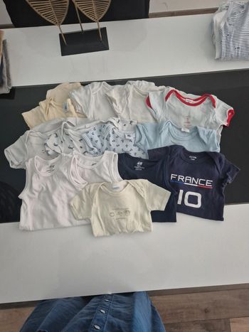 Lot de 13 bodies