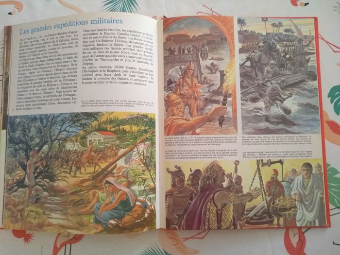 Livre Au Temps des Gaulois - photo numéro 8