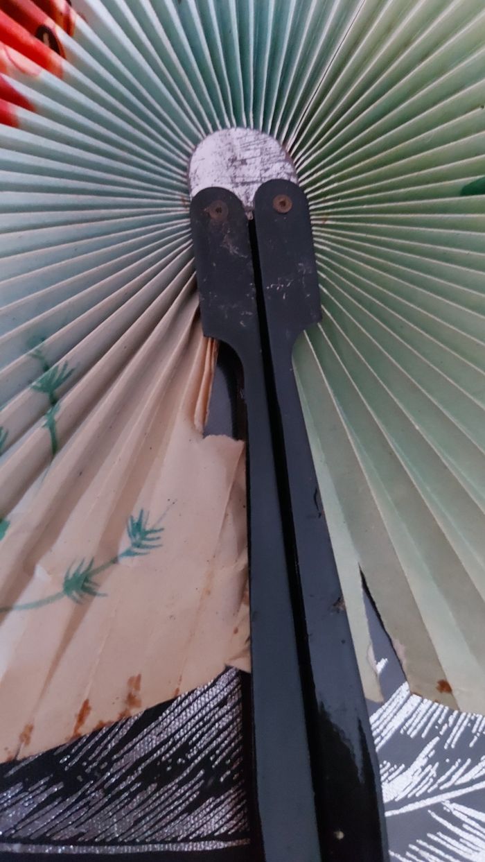 Éventail - photo numéro 6