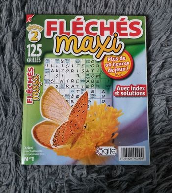 Livre de jeu fléchés maxi niveau 2 (125grilles)