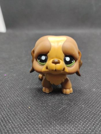 Littlest Petshop LPS  chien saint Bernard 1940 dog #geektradelpschien