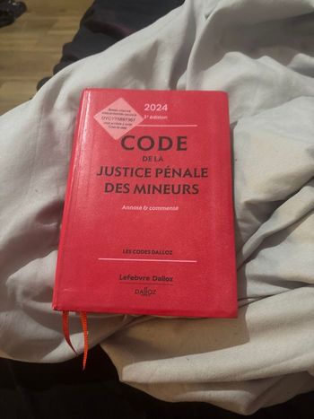 Code de la justice des mineurs