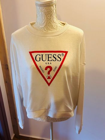 Pull Guess 