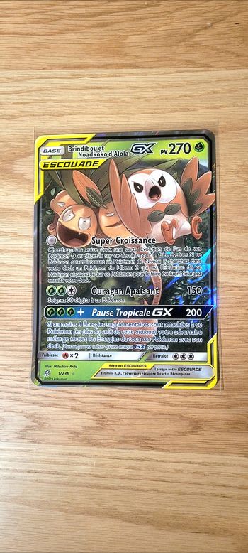 Brindibou et Noadkoko d'Alola GX Escouade