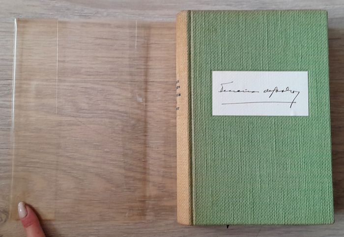 les brebis du seigneur - roman de Ferreira de castro - photo numéro 6