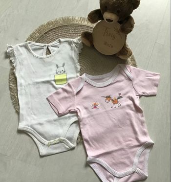 Lot 2 bodies manches courtes