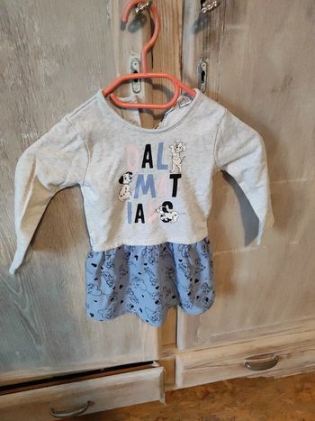 Belle robe dalmatien