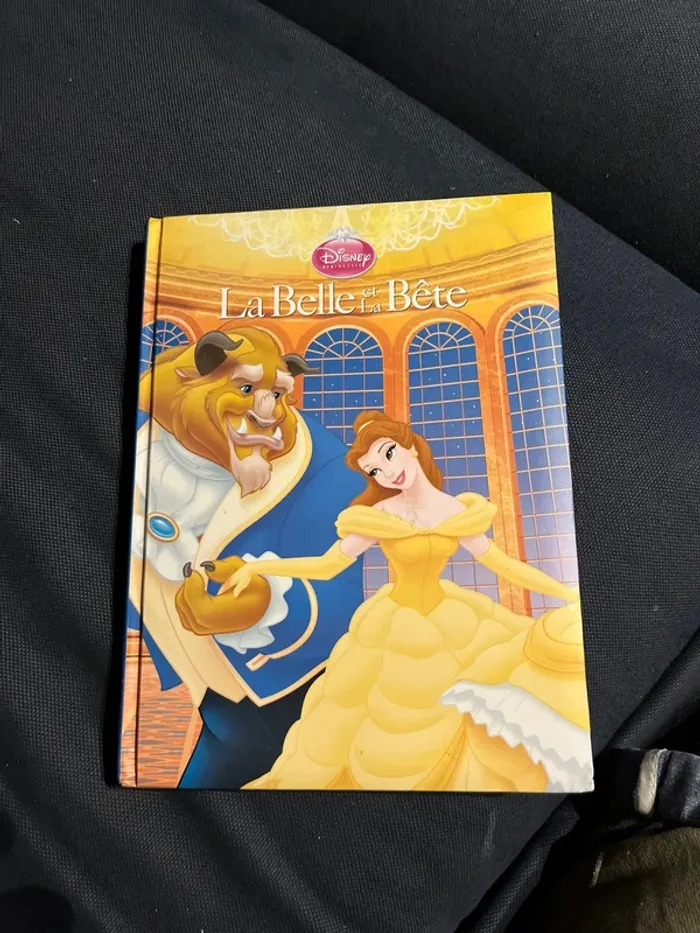 Livre pour enfants Disney couverture matelassée la belle et la bête