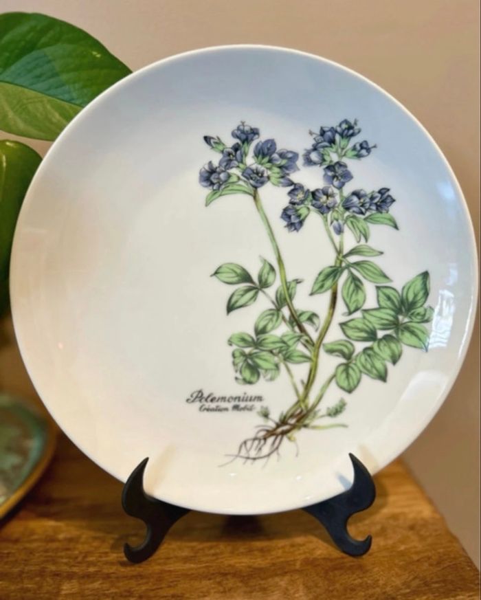 Assiette porcelaine - photo numéro 2