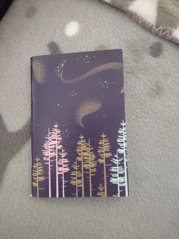 Carnet de notes thème Noël