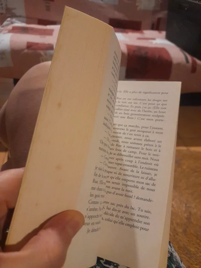 Hunger Games tome 1 - photo numéro 3