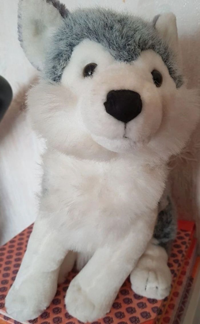 Peluche chien husky
