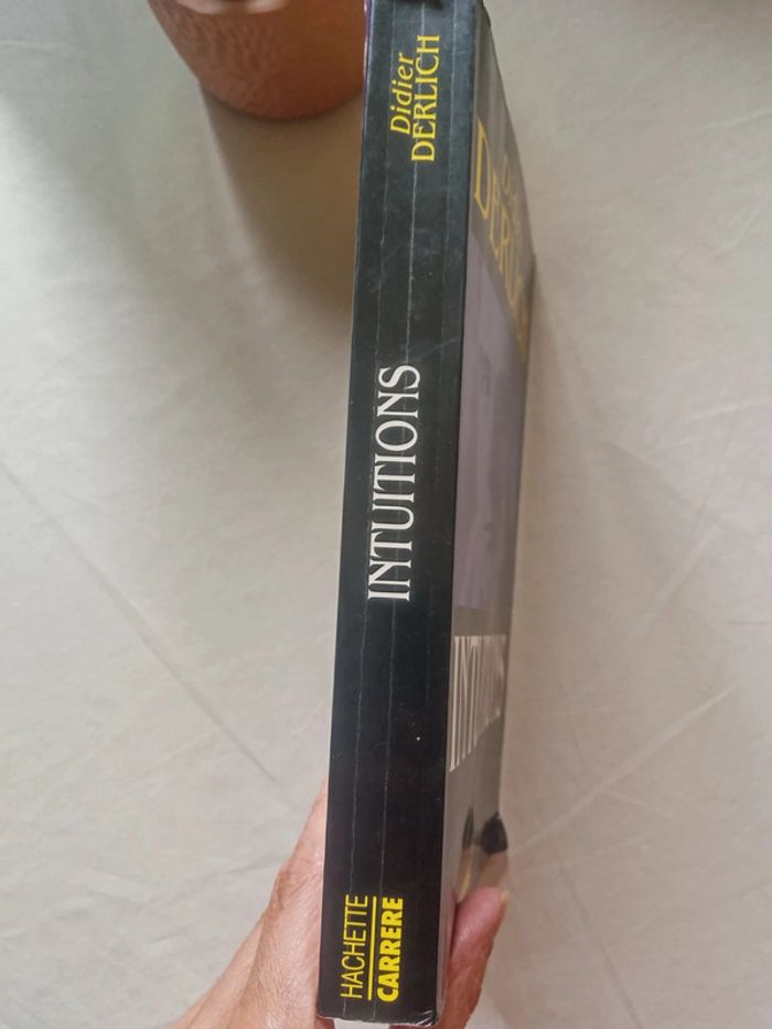 Intuitions - photo numéro 4