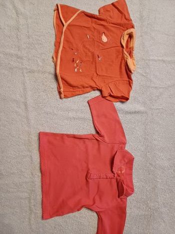Lot tee-shirt Absorba 3 mois + Polo 3 mois (familleac72)