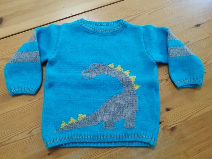 Pull dinosaure