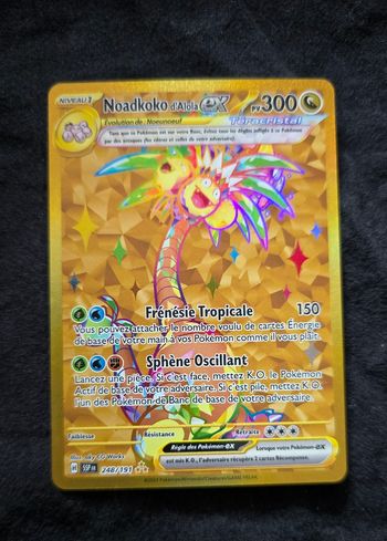 Noadkoko gold 248/191