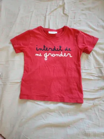 T-shirt Interdit de me gronder