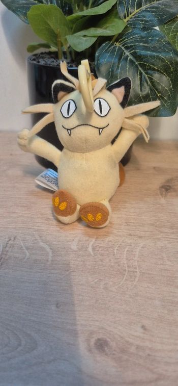 Porte clef pokemon