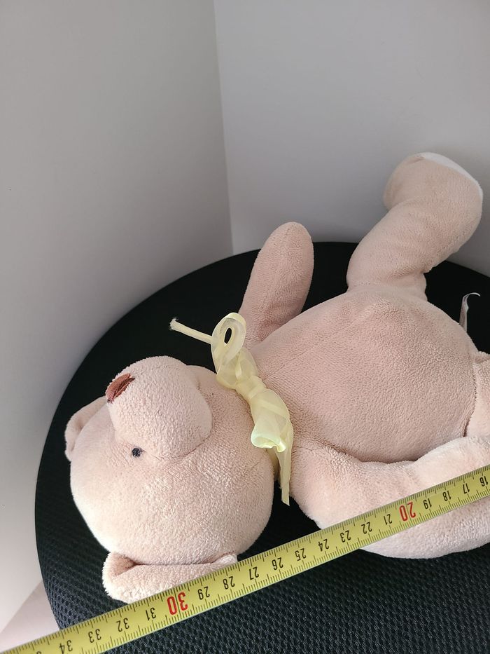 doudou ours - photo numéro 5