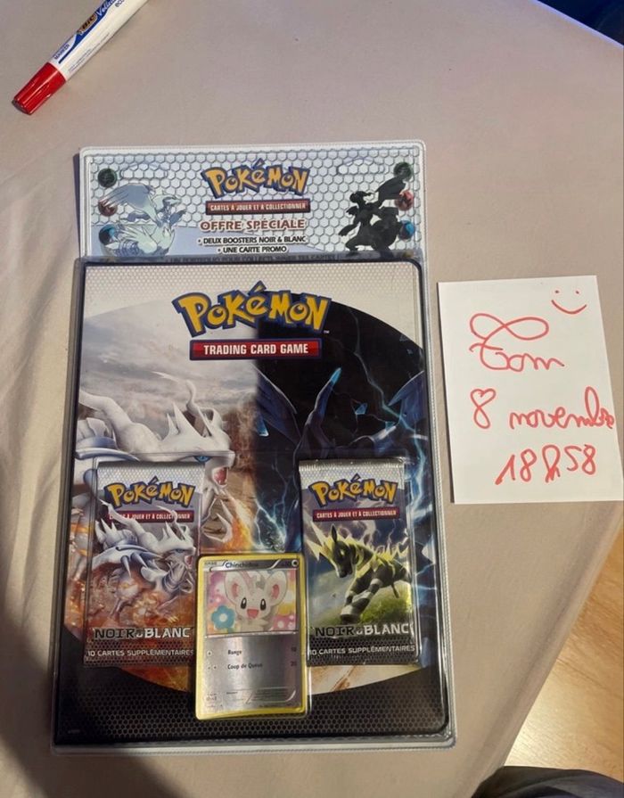 Portfolio Pokémon noir et blanc - photo numéro 3