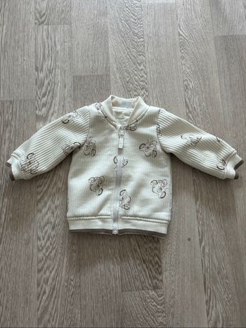 Veste roi lion