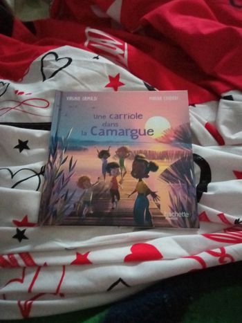 Livre une carriole dans la camargue