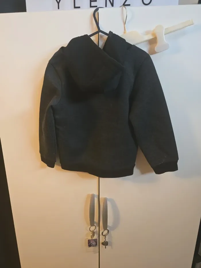 Sweat capuche - photo numéro 2