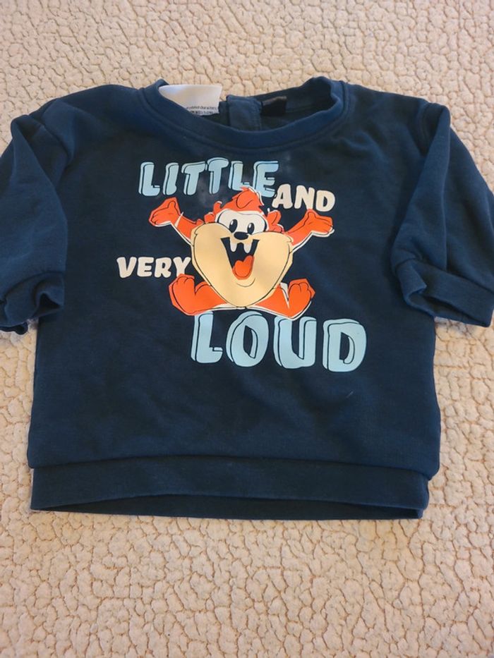 Ensemble looney tunes et bodie tbe - photo numéro 2
