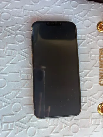iPhone_13_Pro_Max.