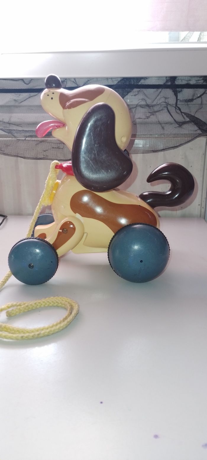 Chien - photo numéro 2
