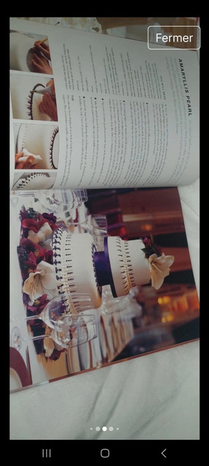 Livre Couture Wedding Cakes
de Mich Turner - photo numéro 4