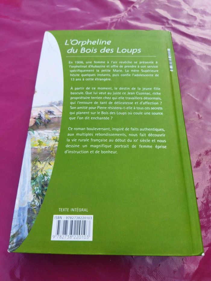 L'orpheline du bois des loups - photo numéro 2