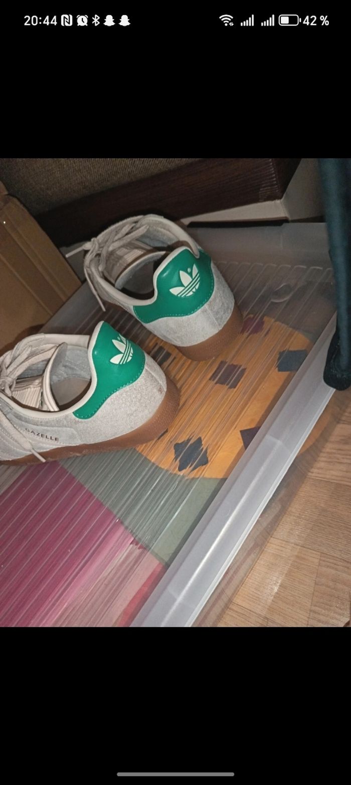 Gazelle - photo numéro 5