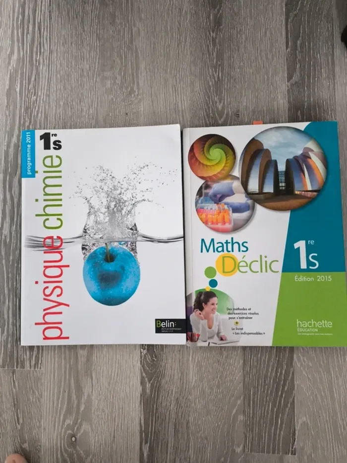 Lot de 2 livres scolaires 1ere S - photo numéro 2