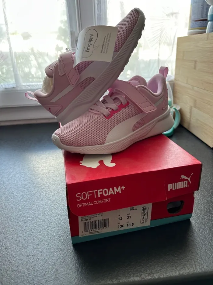 Puma roses