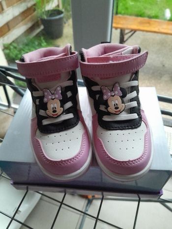 Basket minnie
