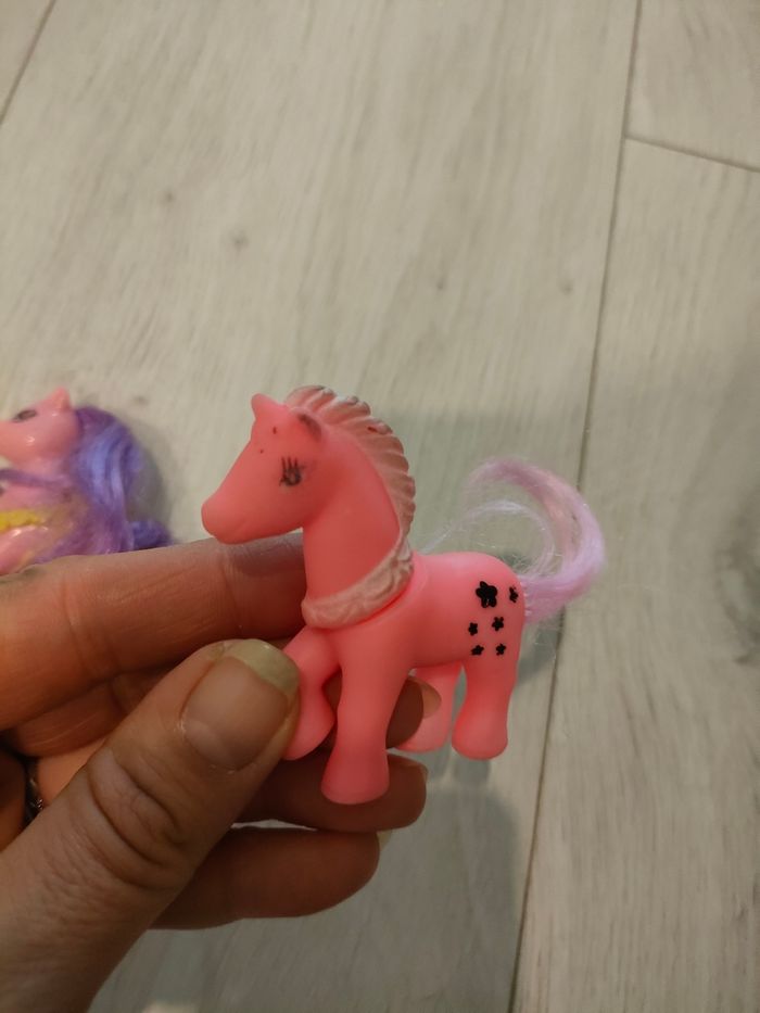 2 poneys - photo numéro 3