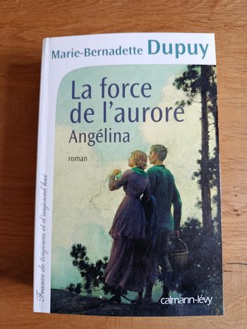 Livre de Marie Bernadette Dupuy