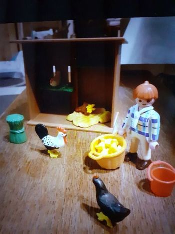 Playmobil fermière