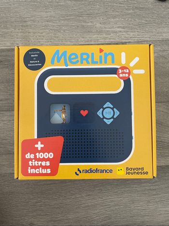 Conteuse merlin